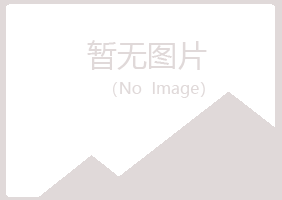 吴川字迹会计有限公司